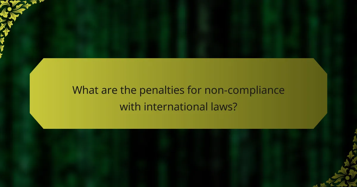 What are the penalties for non-compliance with international laws?